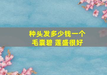 种头发多少钱一个毛囊碧 莲盛很好